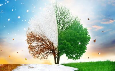 Transition