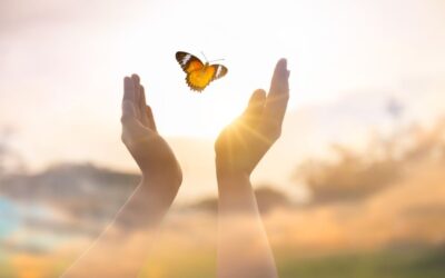 Méditation pleine conscience