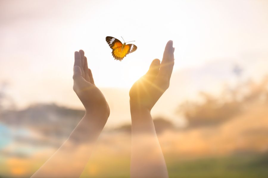 Méditation pleine conscience